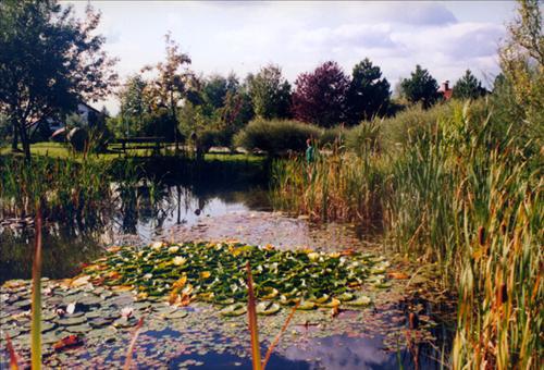 Landhotel Allgaeuer Hof Wolfegg Konforlar fotoğraf